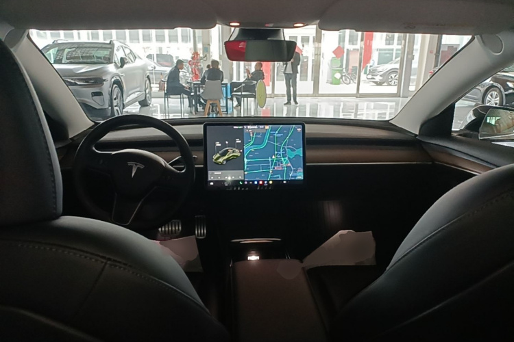 Tesla Model 3 2021 car image #10
