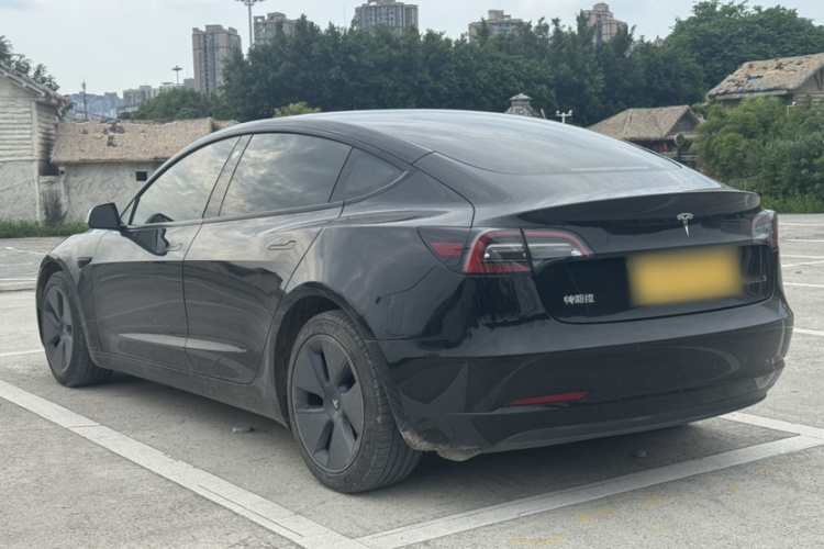 Tesla Model 3 2021 #8 Tesla Model 3 2021 car image #8