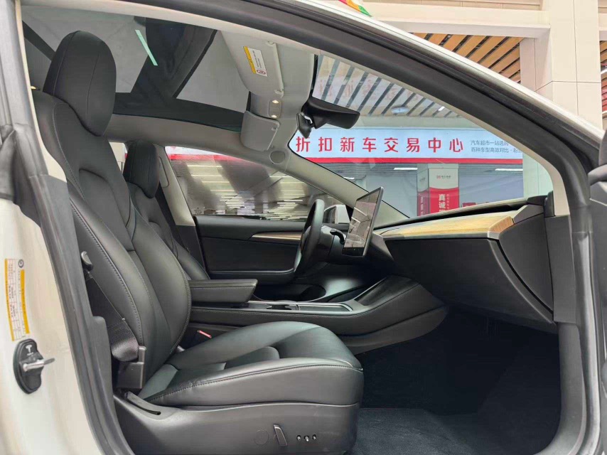 Tesla Model 3 2022 car image #18