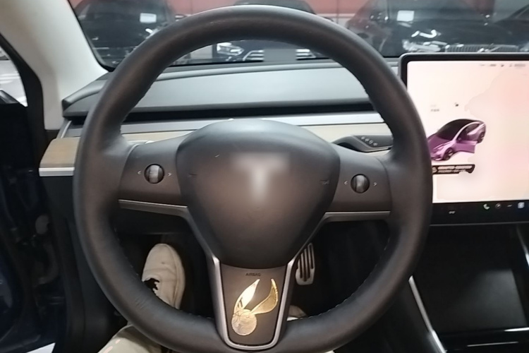 Tesla Model 3 2020 imagen de coche #15