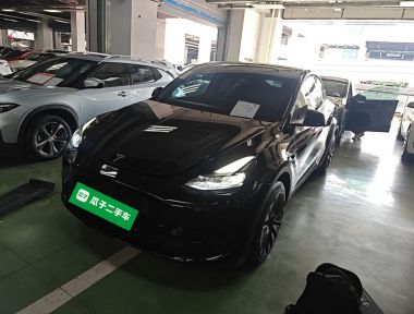 Tesla Model Y 2023 car image 