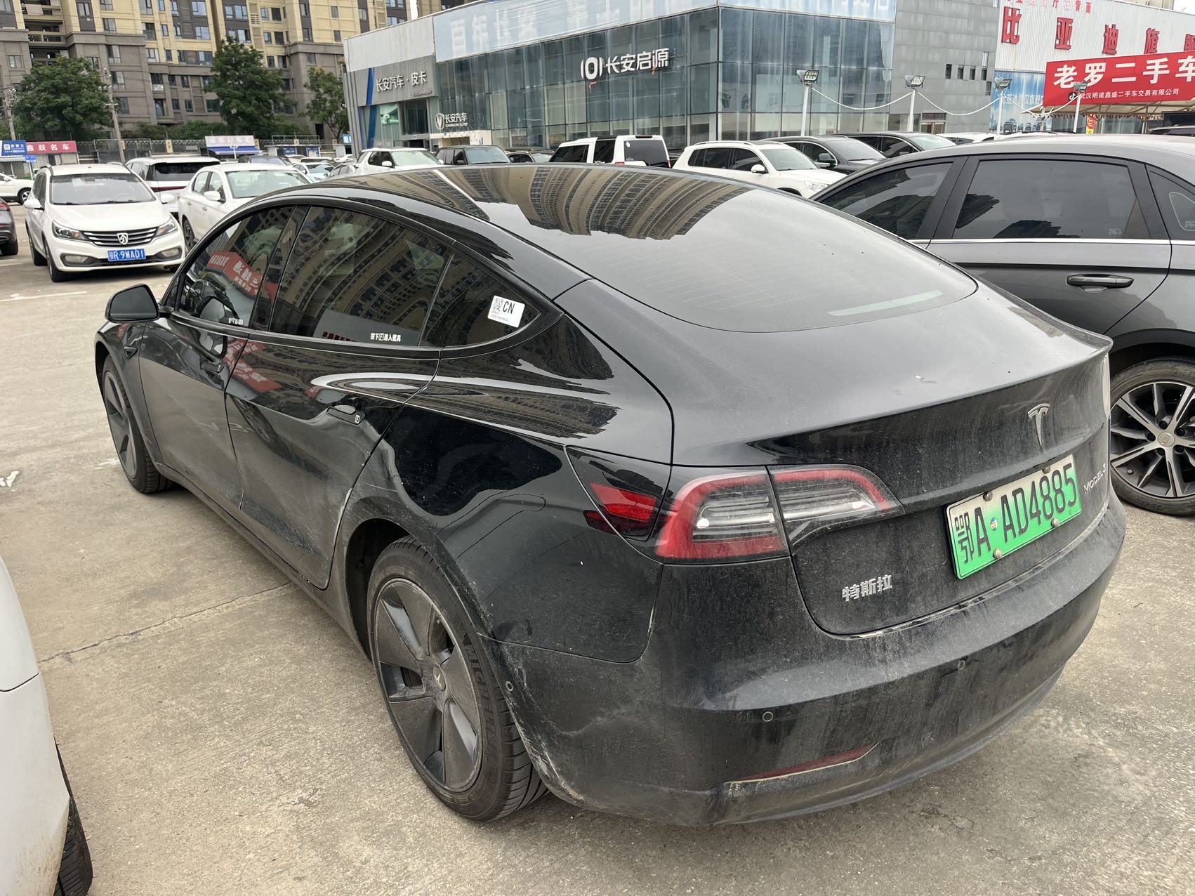 Tesla Model 3 2023 #7 Tesla Model 3 2023 car image #7