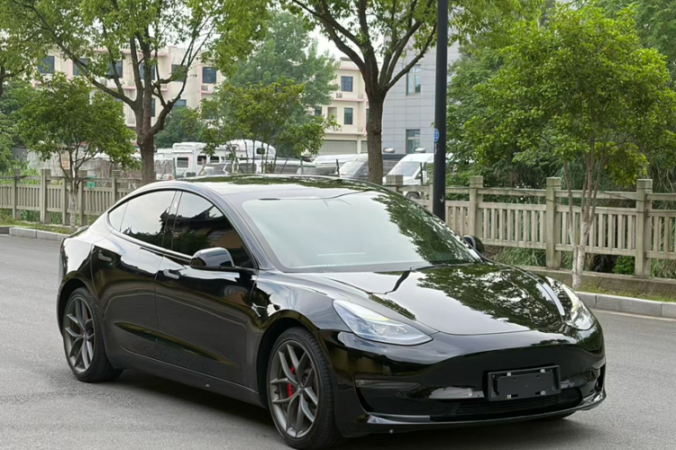 Tesla Model 3 2022 #6 Tesla Model 3 2022 car image #6