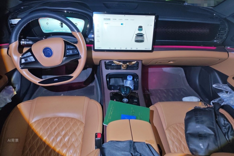 BYD Han 2021 imagem de carro #11