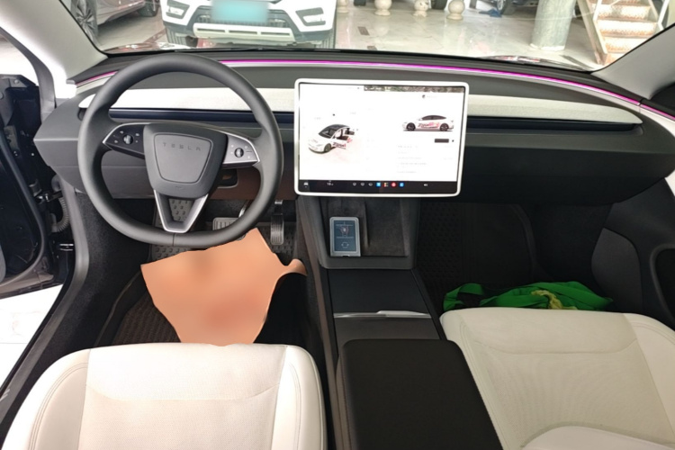 Tesla Model 3 2023 car image #10