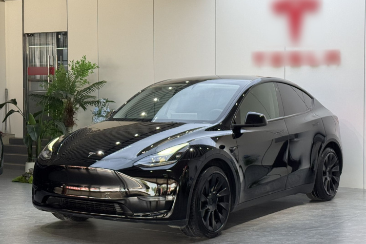 Tesla Model Y 2021 immagine di auto #2