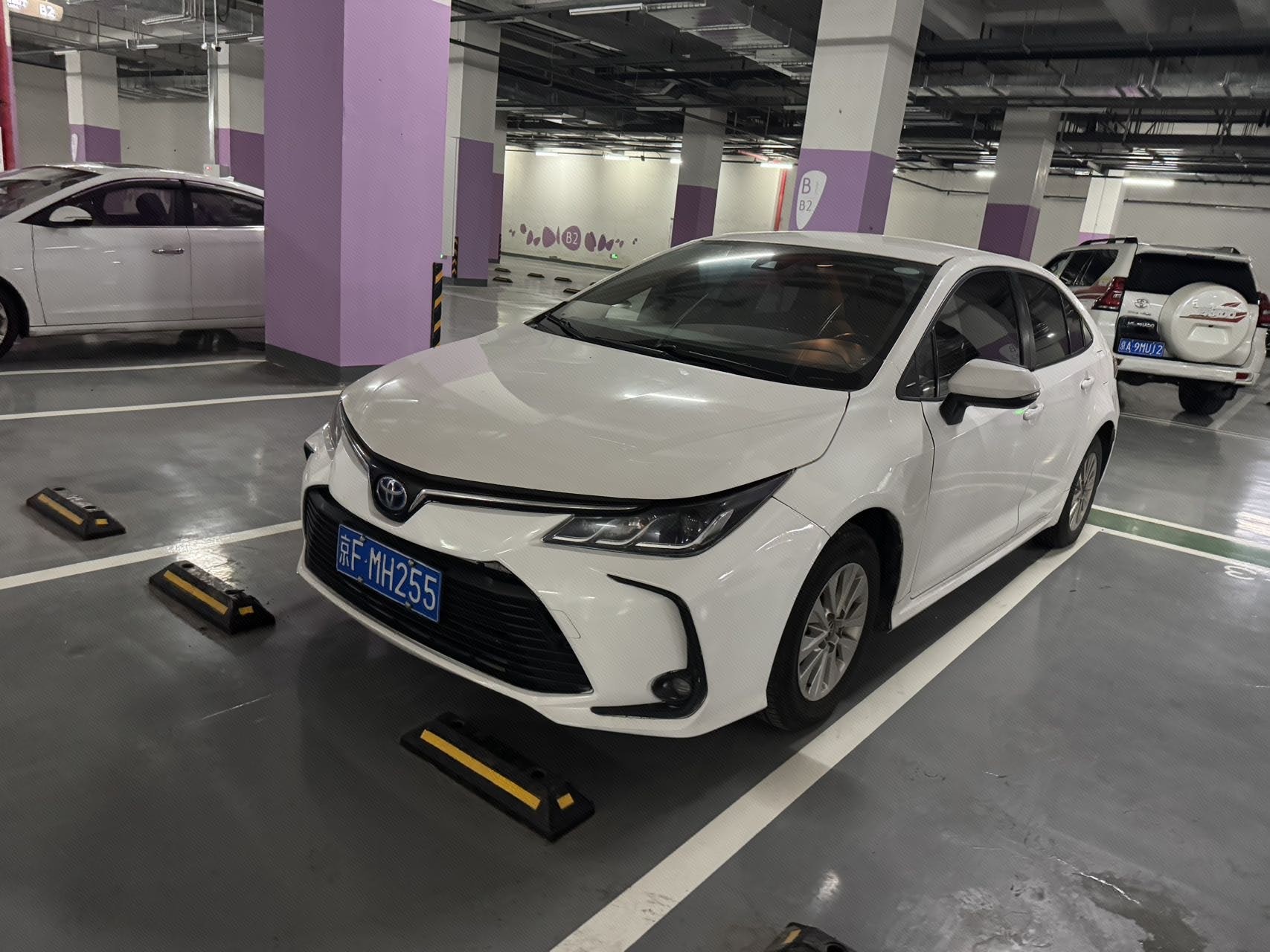 Toyota Corolla 2023 Toyota Corolla 2023 car image