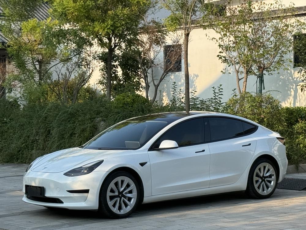 Tesla Model 3 2021 car image 