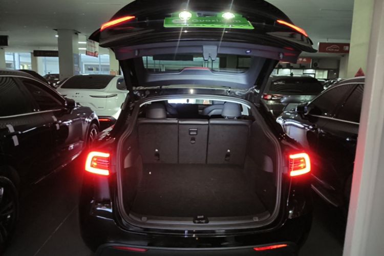 Tesla Model Y 2021 car image #19