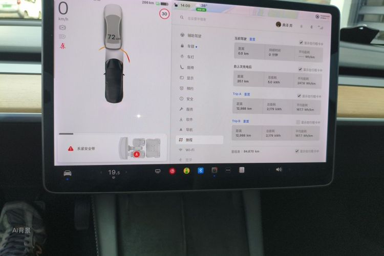 Tesla Model 3 2021 car image #15