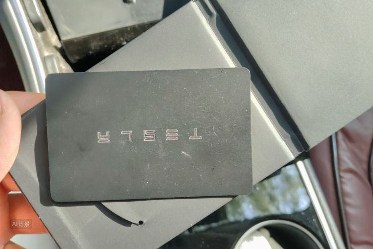 Tesla Model 3 2020 #10 Tesla Model 3 2020 car image #10