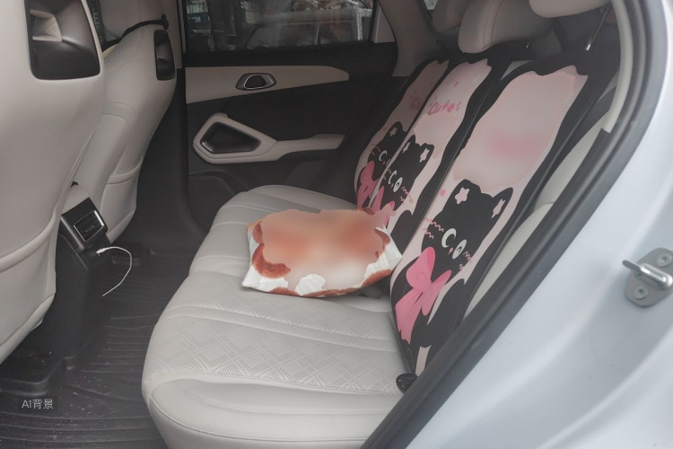BYD YuanUP 2025 #19 BYD YuanUP 2025 car image #19