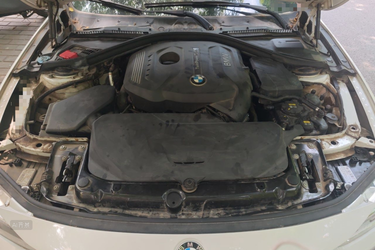 BMW 3 Series 2017 car image #22