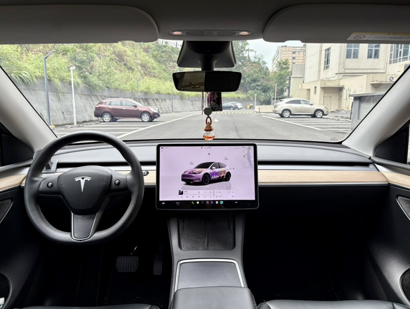 Tesla Model Y 2022 car image #6