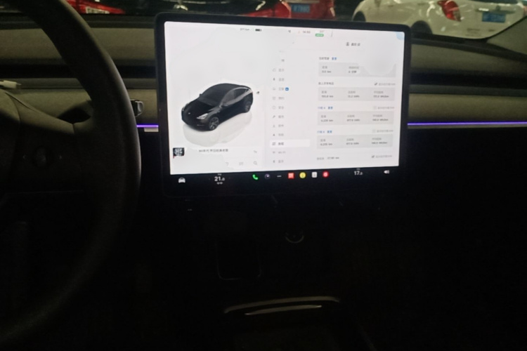 Tesla Model Y 2023 #10 Tesla Model Y 2023 car image #10