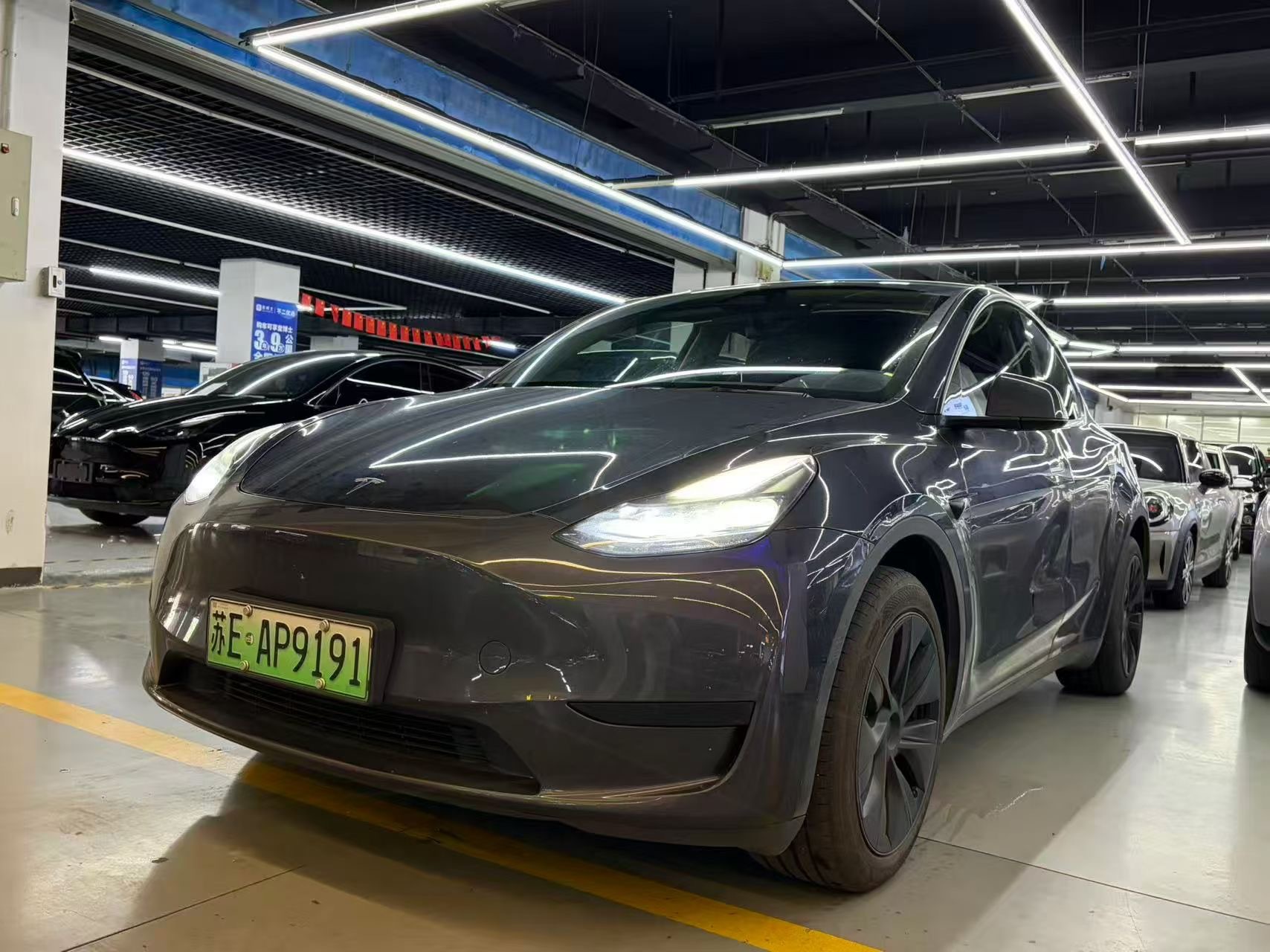 Tesla Model Y 2024 car image 