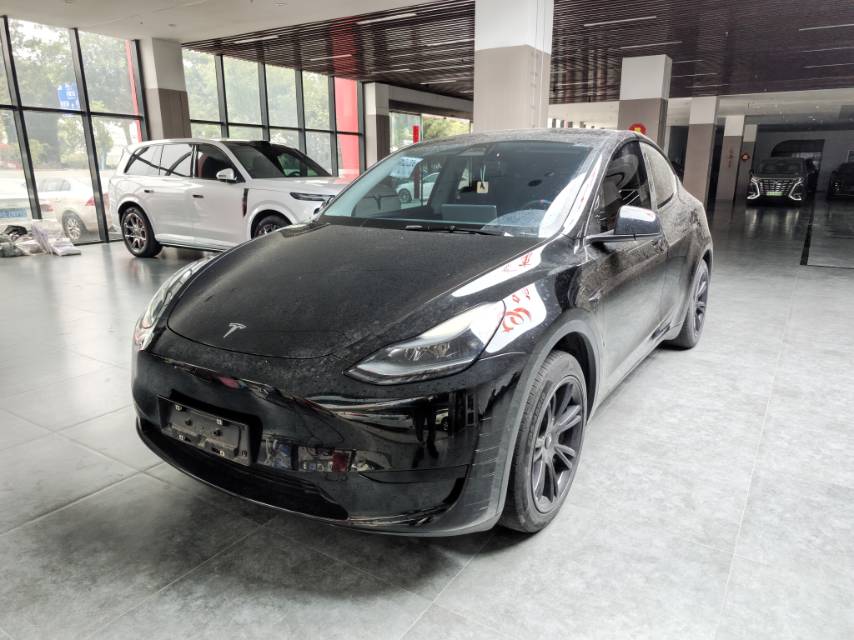 Tesla Model Y 2023 Tesla Model Y 2023 car image