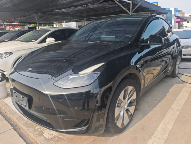 Tesla Model Y 2022 Tesla Model Y 2022 car image