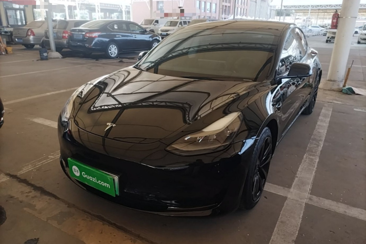 Tesla Model 3 2022 car image #2