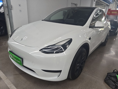 Tesla Model Y 2024 Tesla Model Y 2024 car image