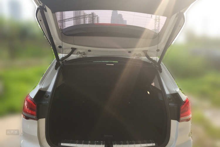 BMW X1 New Energy 2019 car image #21