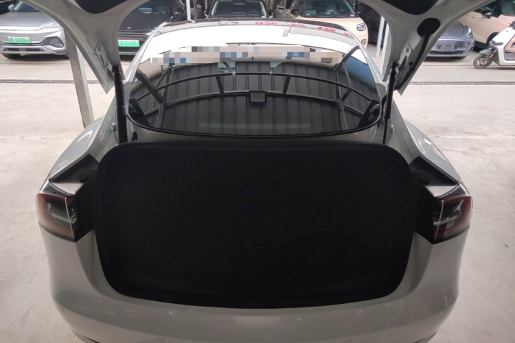 Tesla Model 3 2021 #19 Tesla Model 3 2021 car image #19