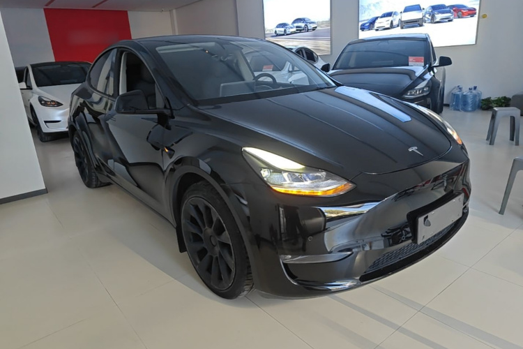 Tesla Model Y 2021 car image #4