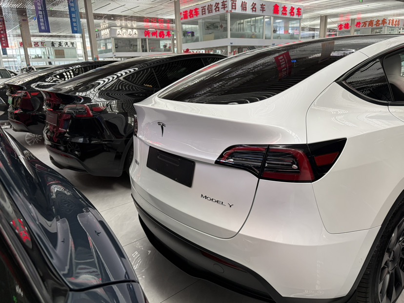Tesla Model Y 2023 #6 Tesla Model Y 2023 car image #6