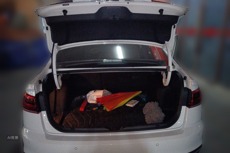 Volkswagen Bora 2025 car image #21