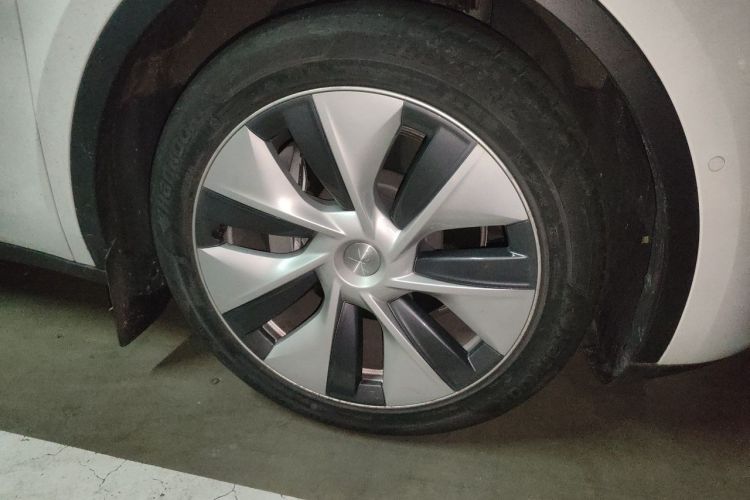 Tesla Model Y 2021 #6 Tesla Model Y 2021 car image #6