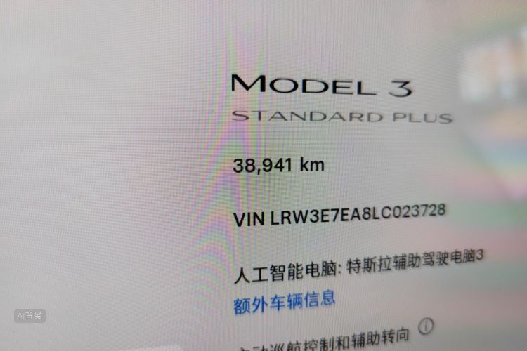 Tesla Model 3 2020 car image #14