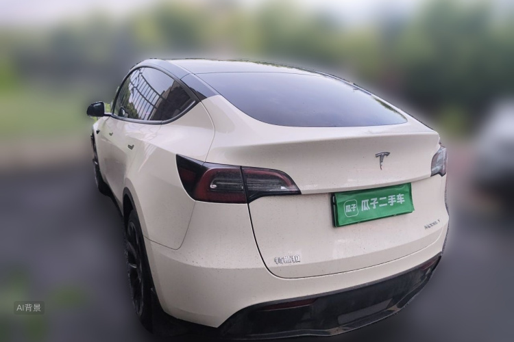 Tesla Model Y 2021 car image #5