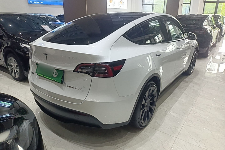 Tesla Model Y 2024 car image #7