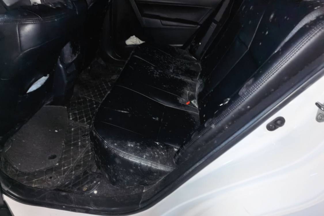 Toyota Corolla 2018 car image #19