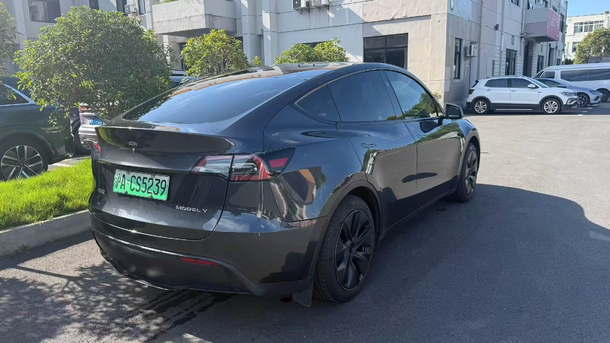 Tesla Model Y 2024 #7 Tesla Model Y 2024 car image #7