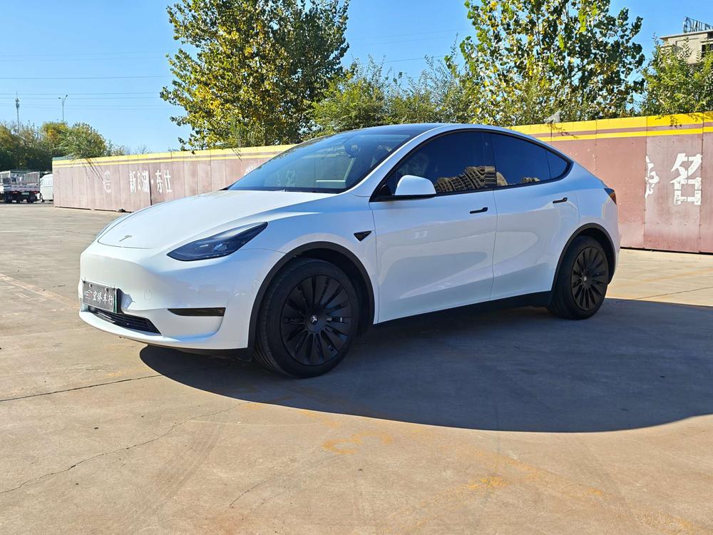 Tesla Model Y 2021 Tesla Model Y 2021 car image