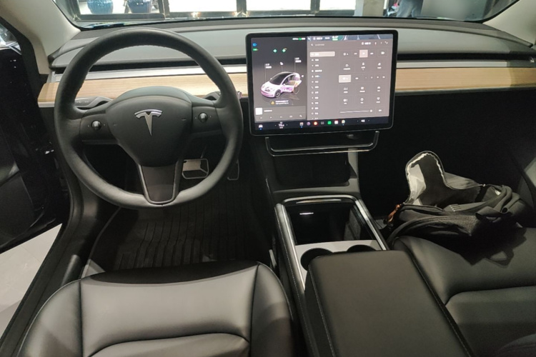 Tesla Model 3 2023 car image #10