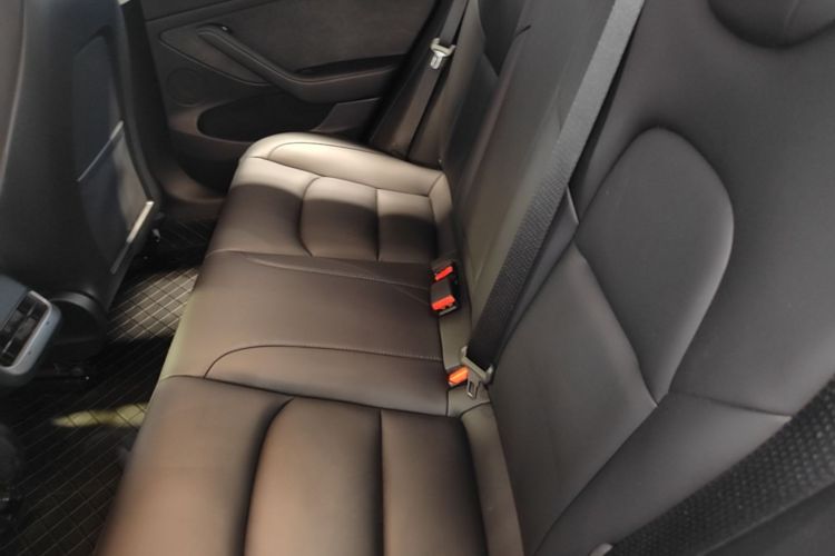 Tesla Model 3 2023 car image #17