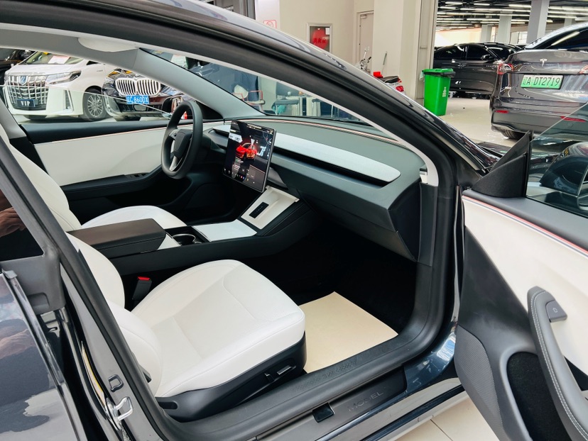 Tesla Model 3 2025 #3 Tesla Model 3 2025 car image #3