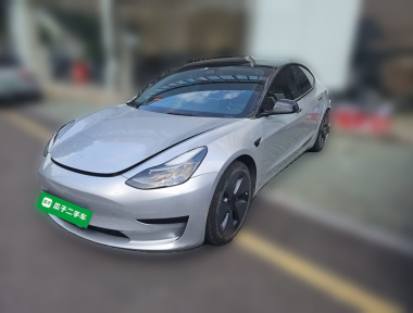 Tesla Model 3 2022 Tesla Model 3 2022 immagine di auto