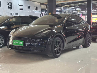 Tesla Model Y 2023 Tesla Model Y 2023 immagine di auto