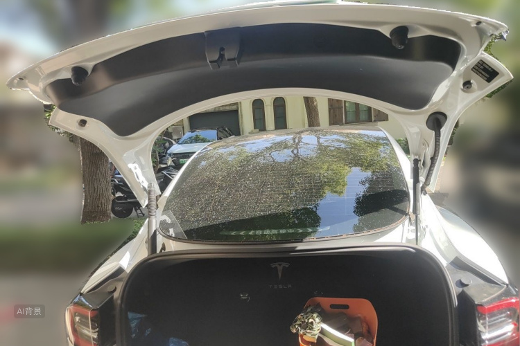 Tesla Model 3 2021 #21 Tesla Model 3 2021 car image #21