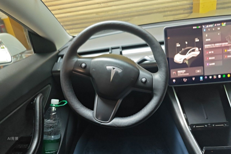 Tesla Model 3 2020 immagine di auto #12