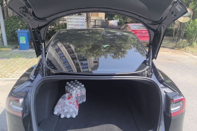 Tesla Model 3 2020 car image #19