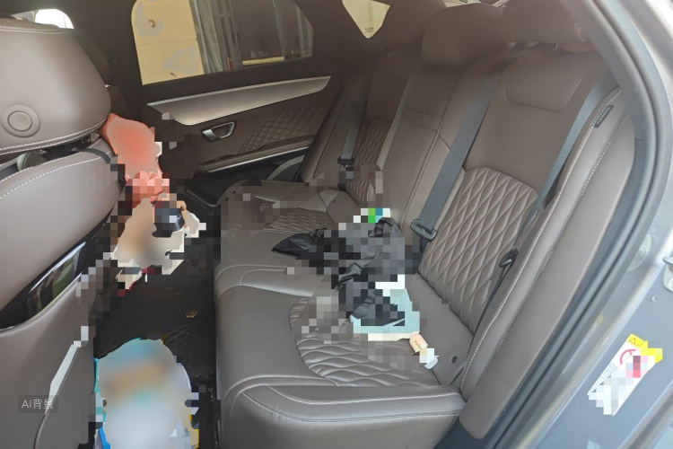 BYD Han 2022 car image #19