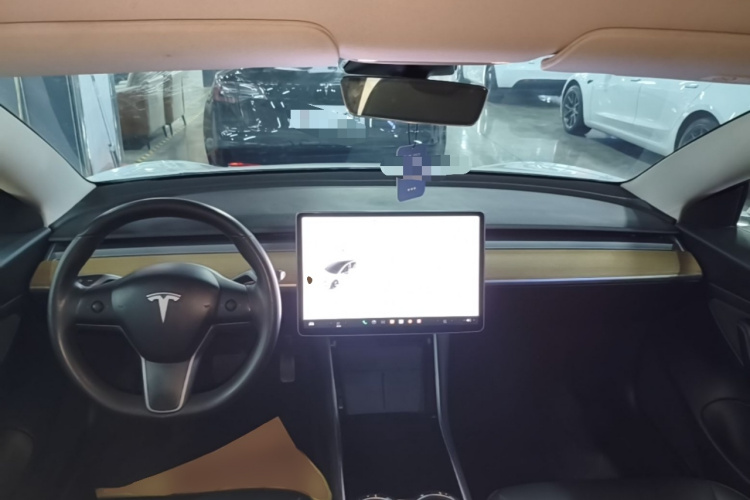 Tesla Model 3 2020 #11 Tesla Model 3 2020 صورة سيارة #11