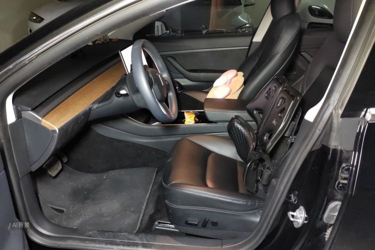 Tesla Model 3 2020 car image #17