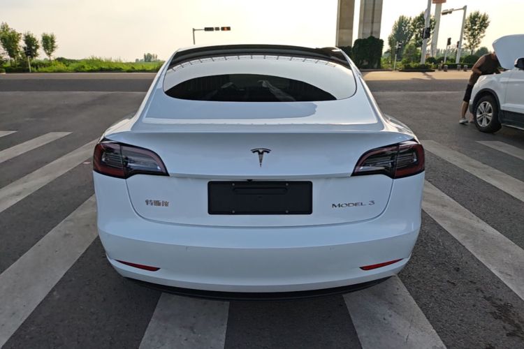 Tesla Model 3 2020 #6 Tesla Model 3 2020 car image #6