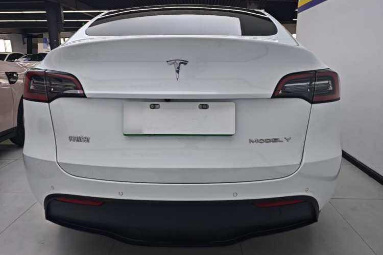 Tesla Model Y 2021 #6 Tesla Model Y 2021 car image #6