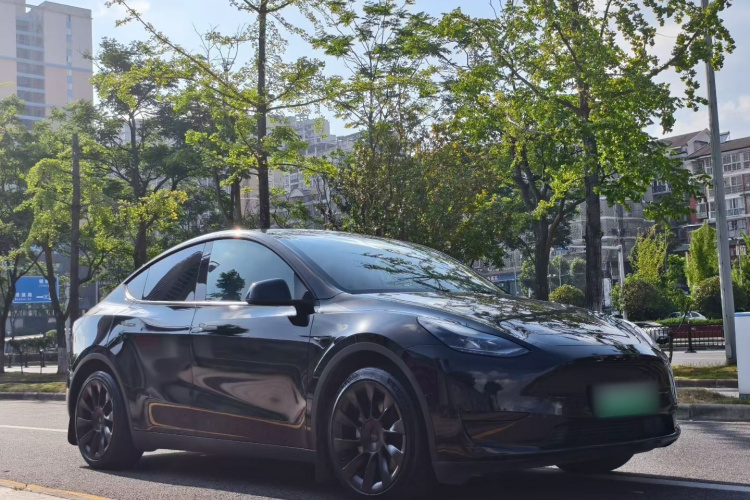 Tesla Model Y 2022 immagine di auto #8